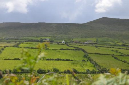 A Visit to Ireland - Potatoes and Famine Image